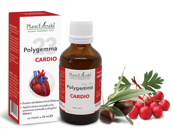Polygemma 23 - Cardio