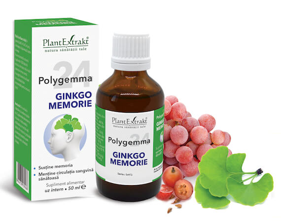 Polygemma 24 - Ginkgo Memorie