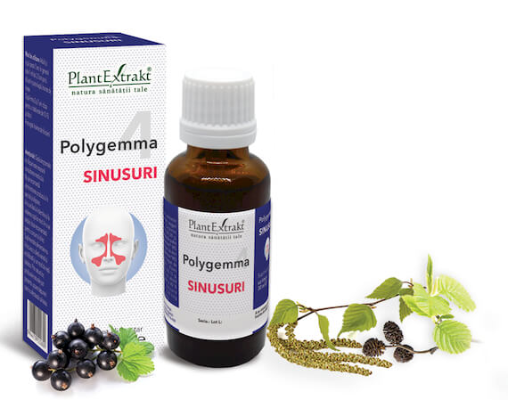 Polygemma 4 - Sinusuri